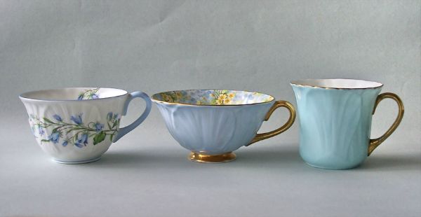 OLEANDER VARIATIONS 01